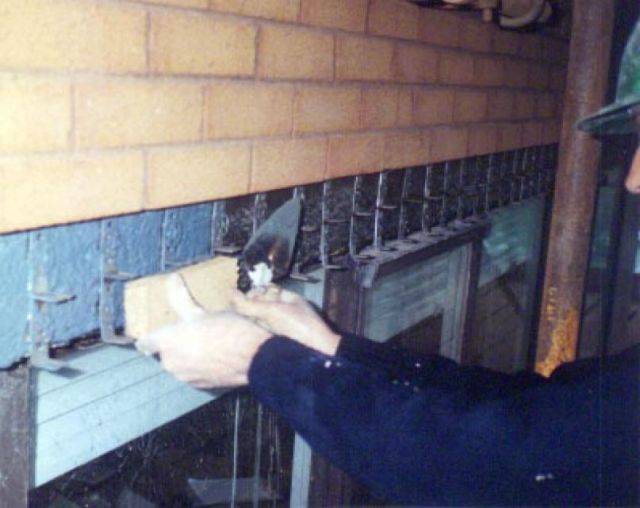 Ronafix SBR for Bedding Mortar