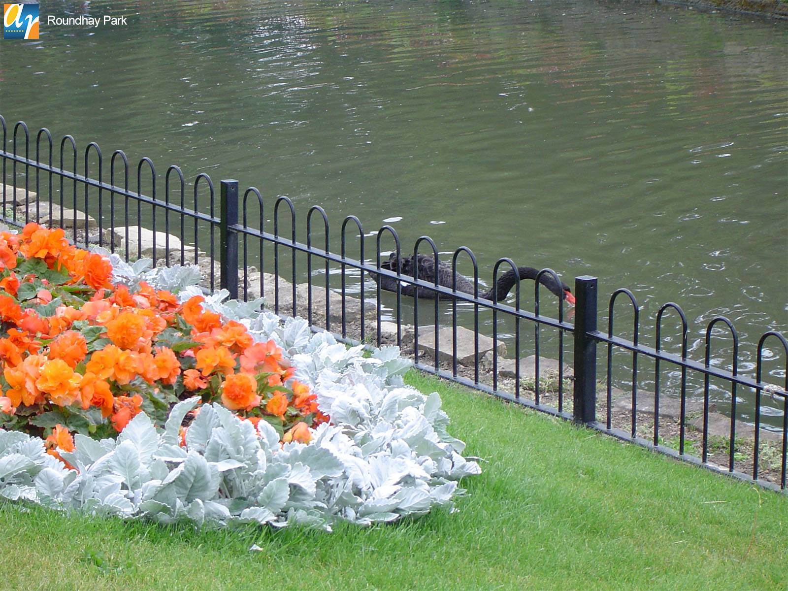 Standard Bow Top Railings