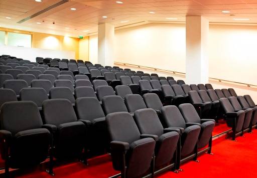Asset A20 - Auditorium seating
