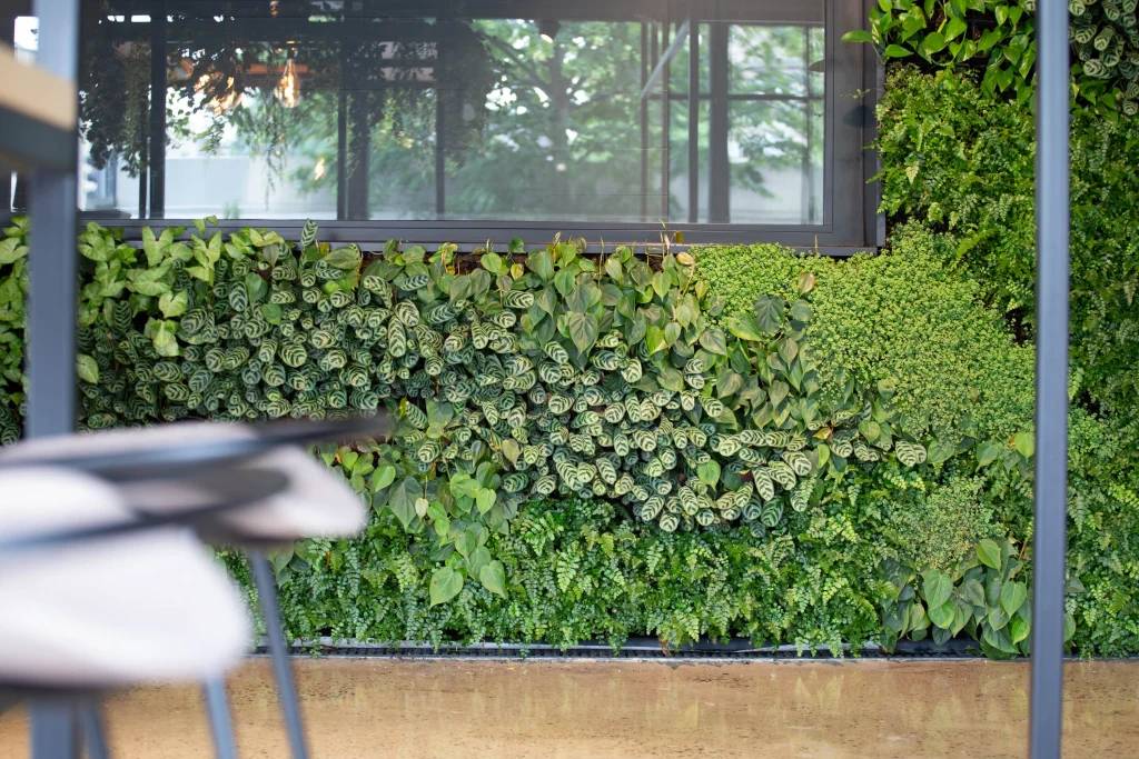 HYVERT + BNG - Living Wall System