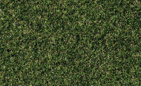 SYNNatural 30 - Artificial Grass