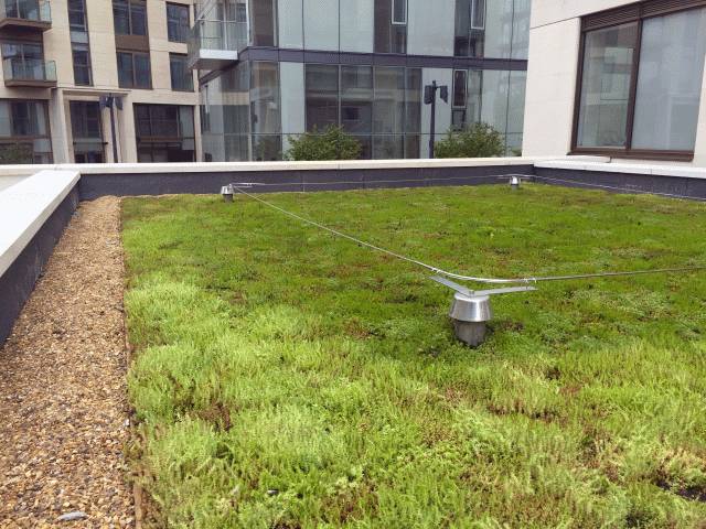 IN1 Intensive Green Roof Substrate - Intensive Lightweight Substrate