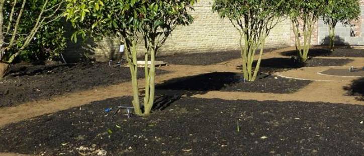  BLS 20 Boughton Screened - Natural Topsoil, Single Source