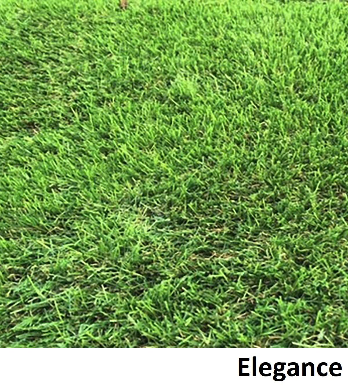 CastleGrass - Artificial Grass - Synthetic Grass