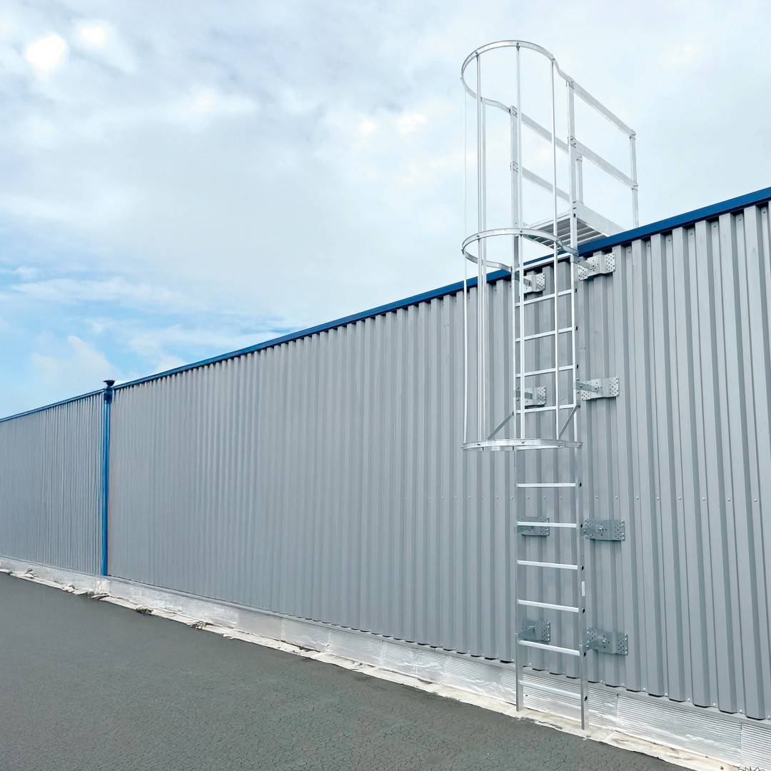 Step Up - Caged Ladders