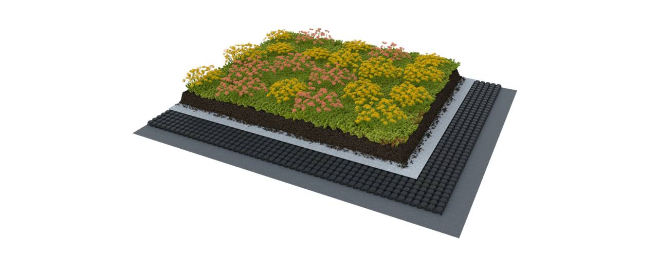 Extensive Green Roof