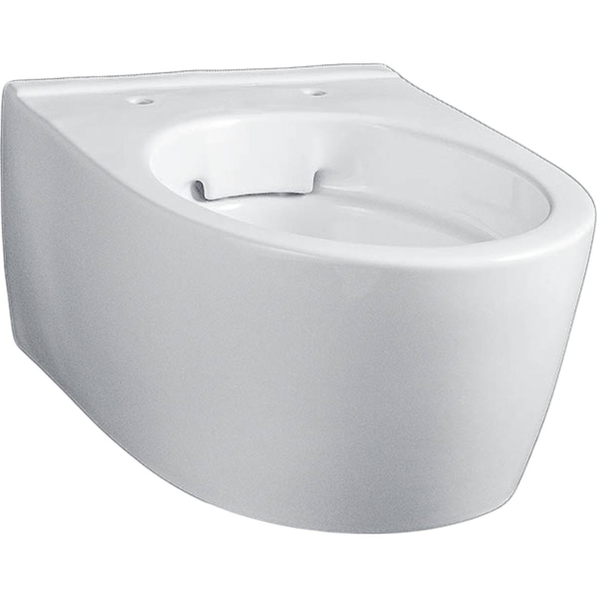 iCon Wall-Hung WC, Washdown, Small Projection, Shrouded, Rimfree