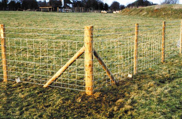 Fencing Stakes and Posts