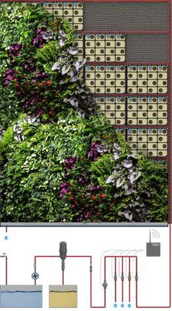 Biotecture Living Wall - Hydroponic System