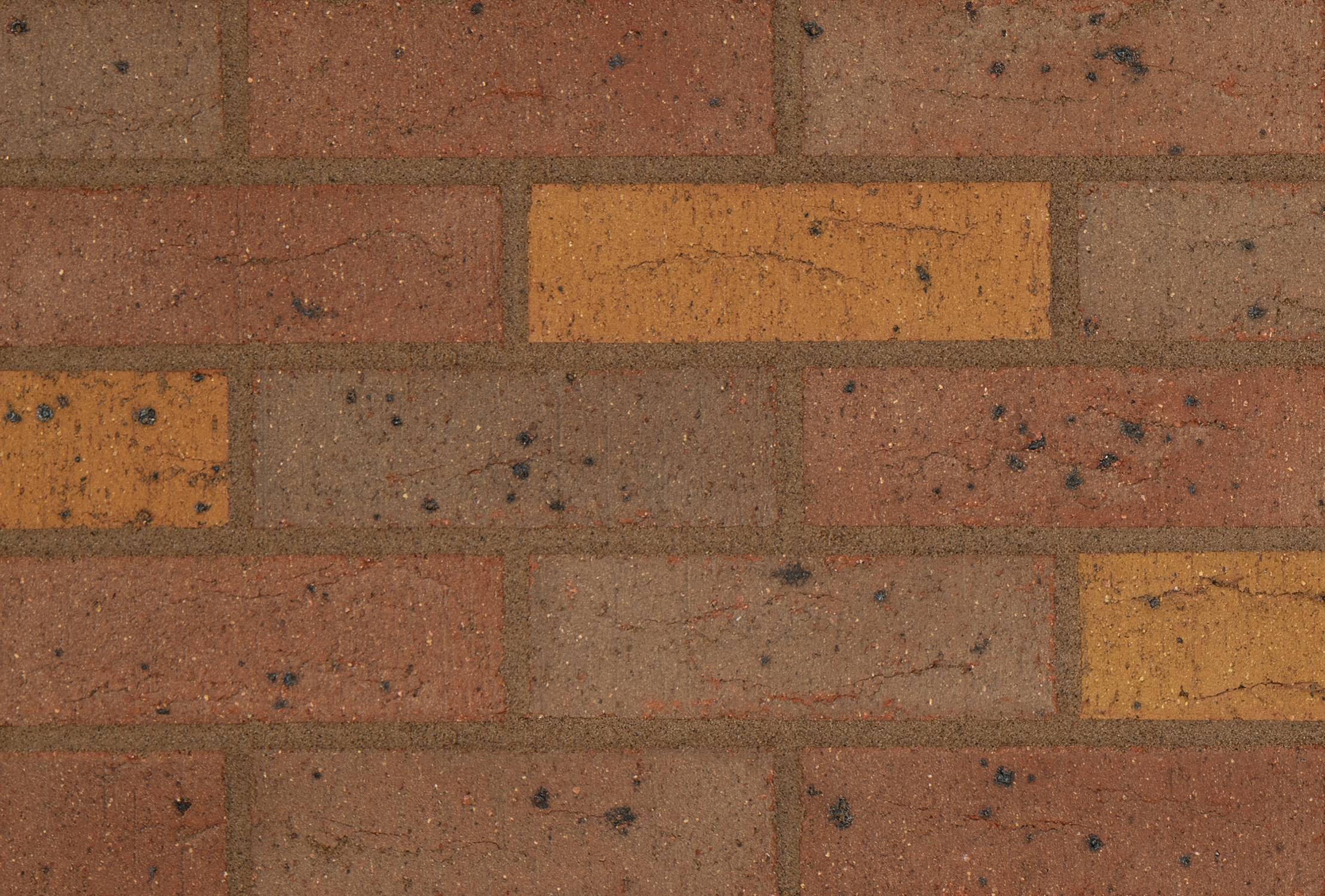 Blockleys Synthesis S05 Clay Brick