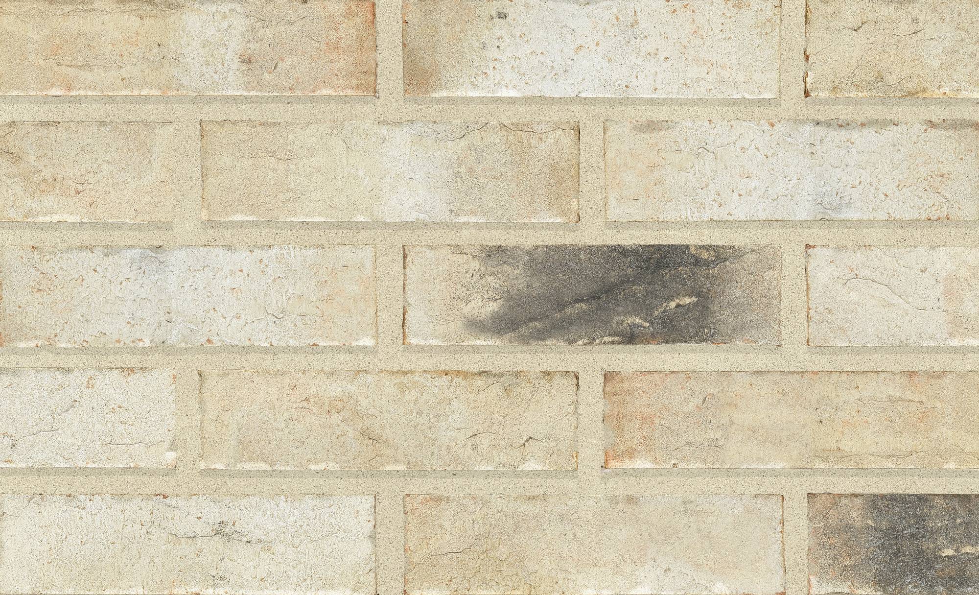 Floren Alaska Sintered Rustic Clay Brick