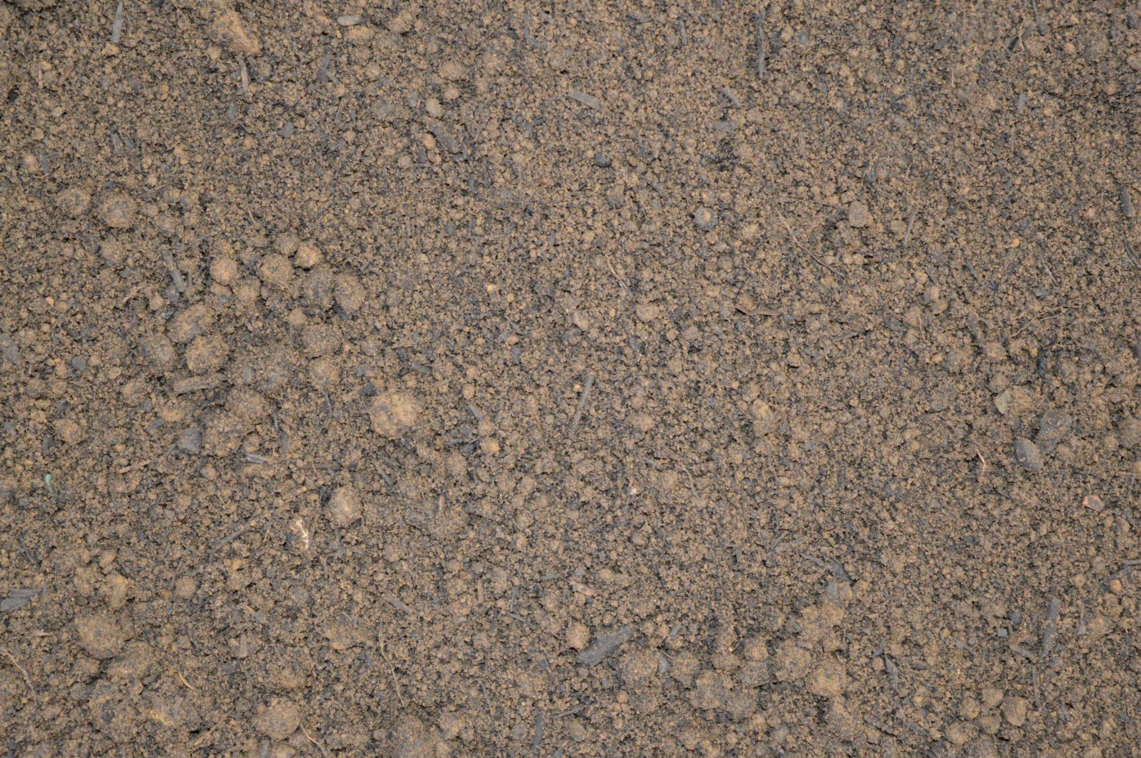  BLS 20 Boughton Screened - Natural Topsoil, Single Source