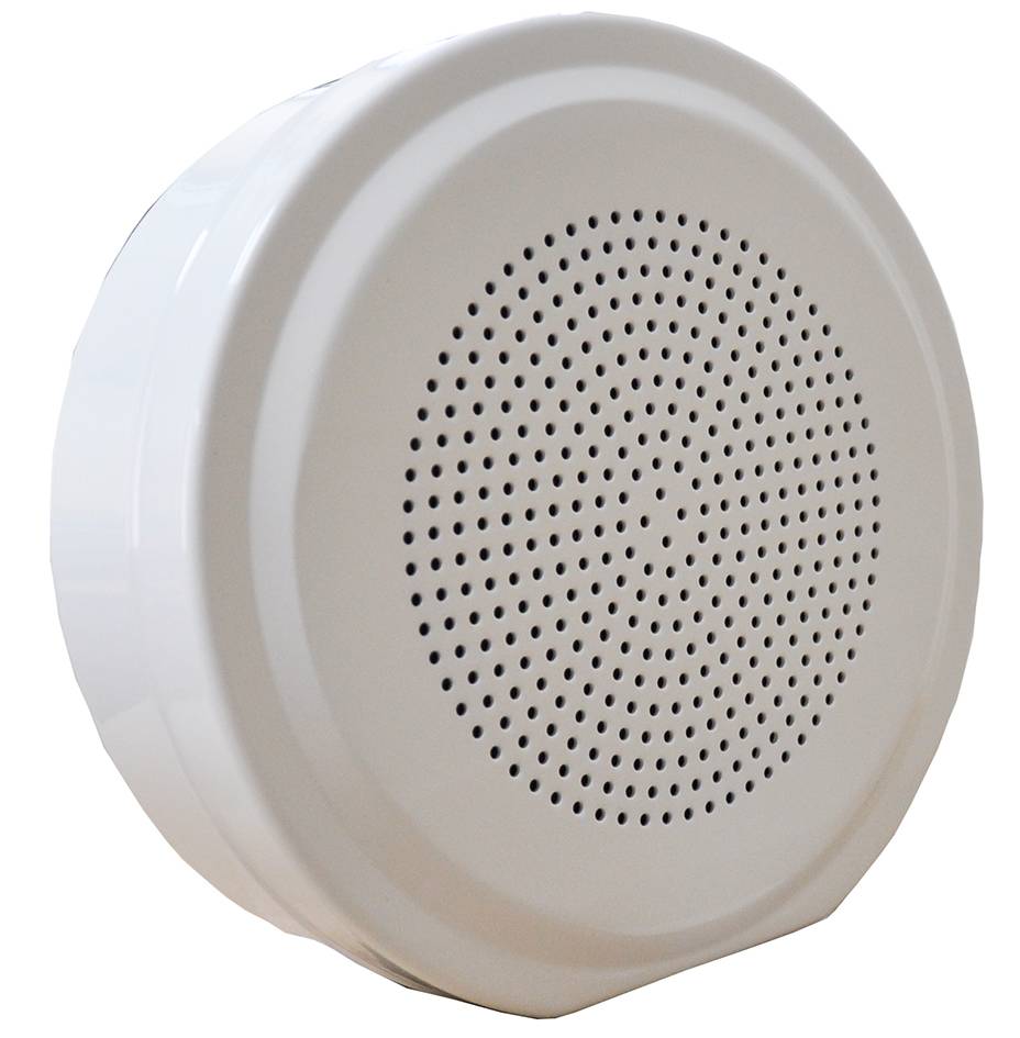 Voice Alarm Cabinet Loudspeaker