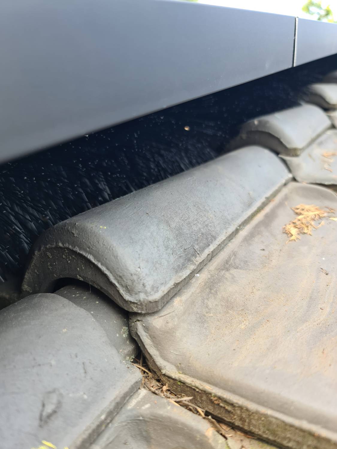 SolarDek™ Bird Brush