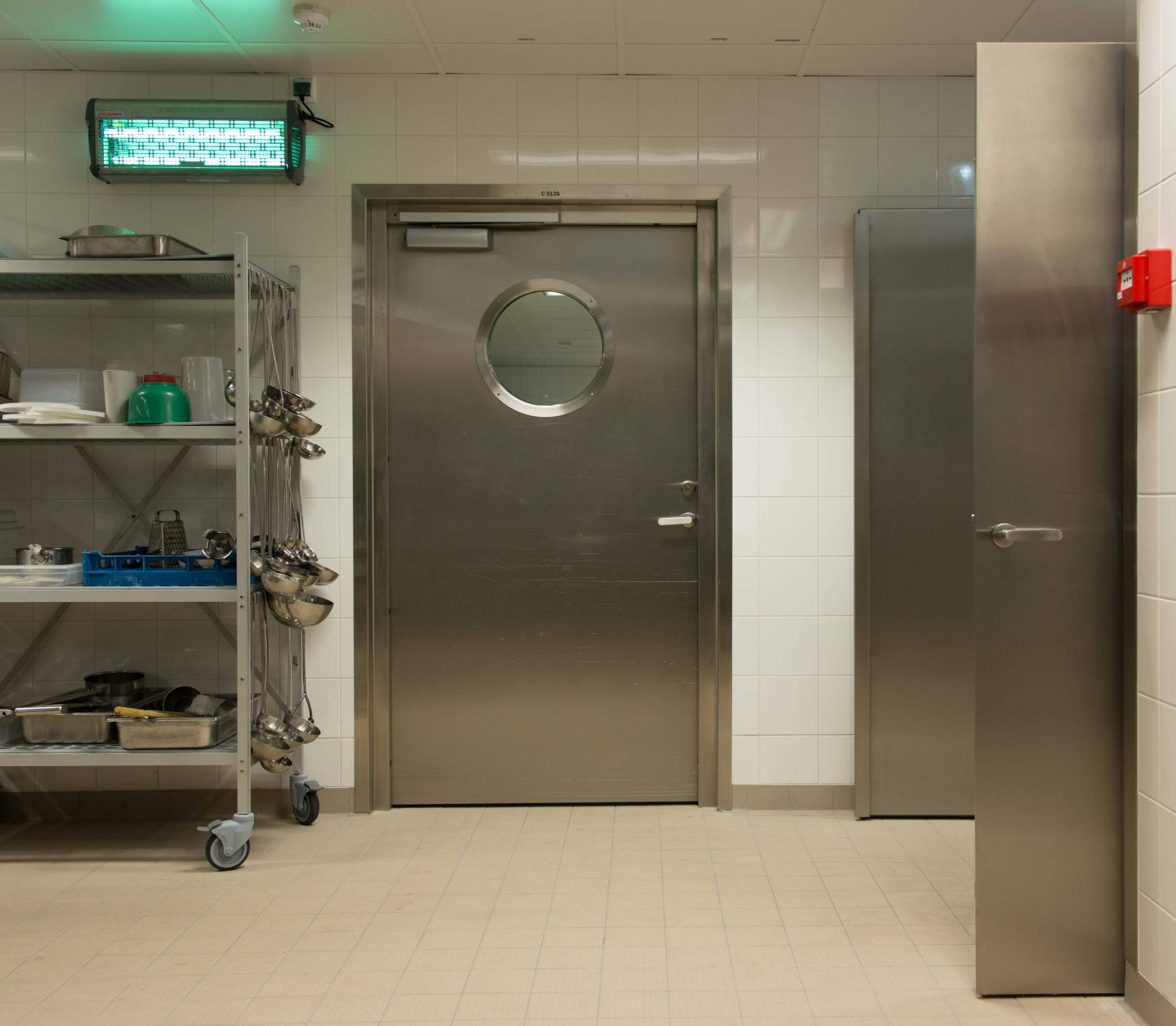 Traffidor Pass - Hinged Hygiene Doors (Stainless Steel)