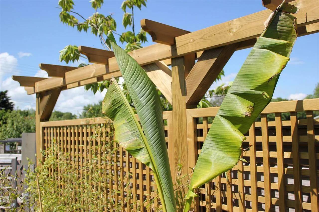 Pergola System - Pergola