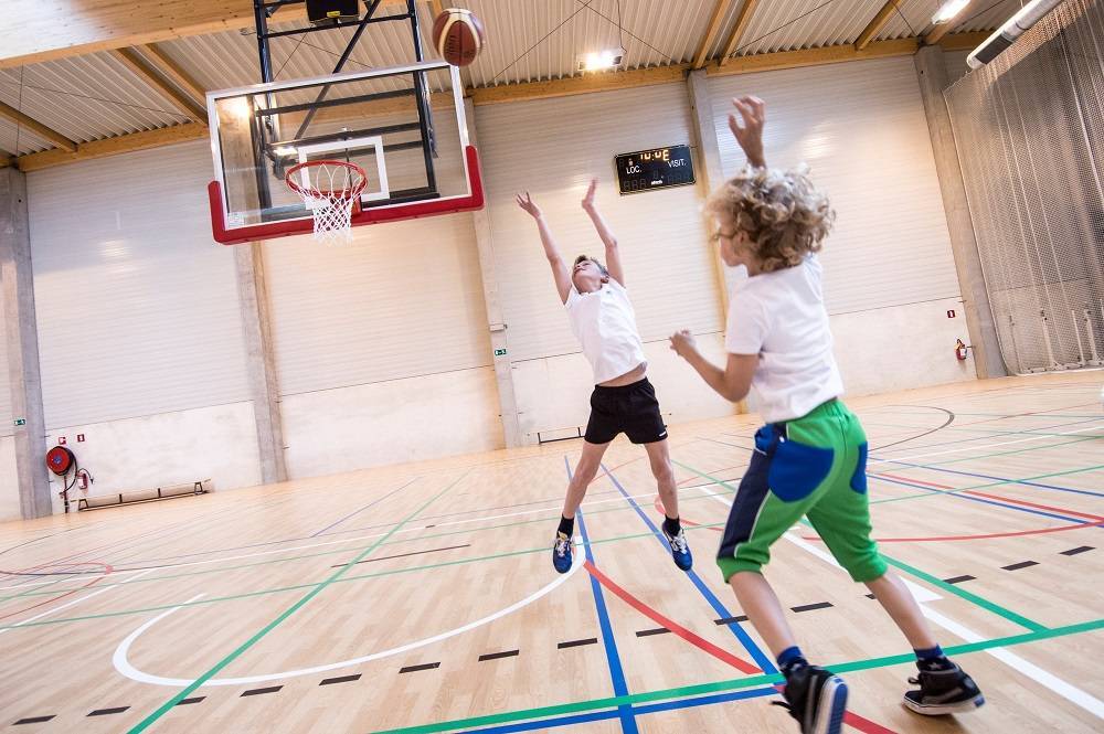 Taraflex® Subflex Combisport Profile System - Sports Flooring