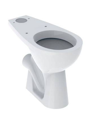 Twyford Option Floor-Standing WC For Close-Coupled Exposed Cistern, Washdown, Raised