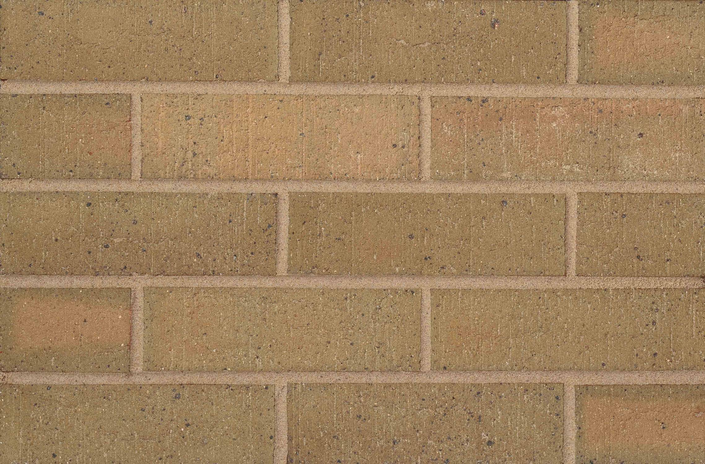 Blockleys Wrekin Buff Clay Brick