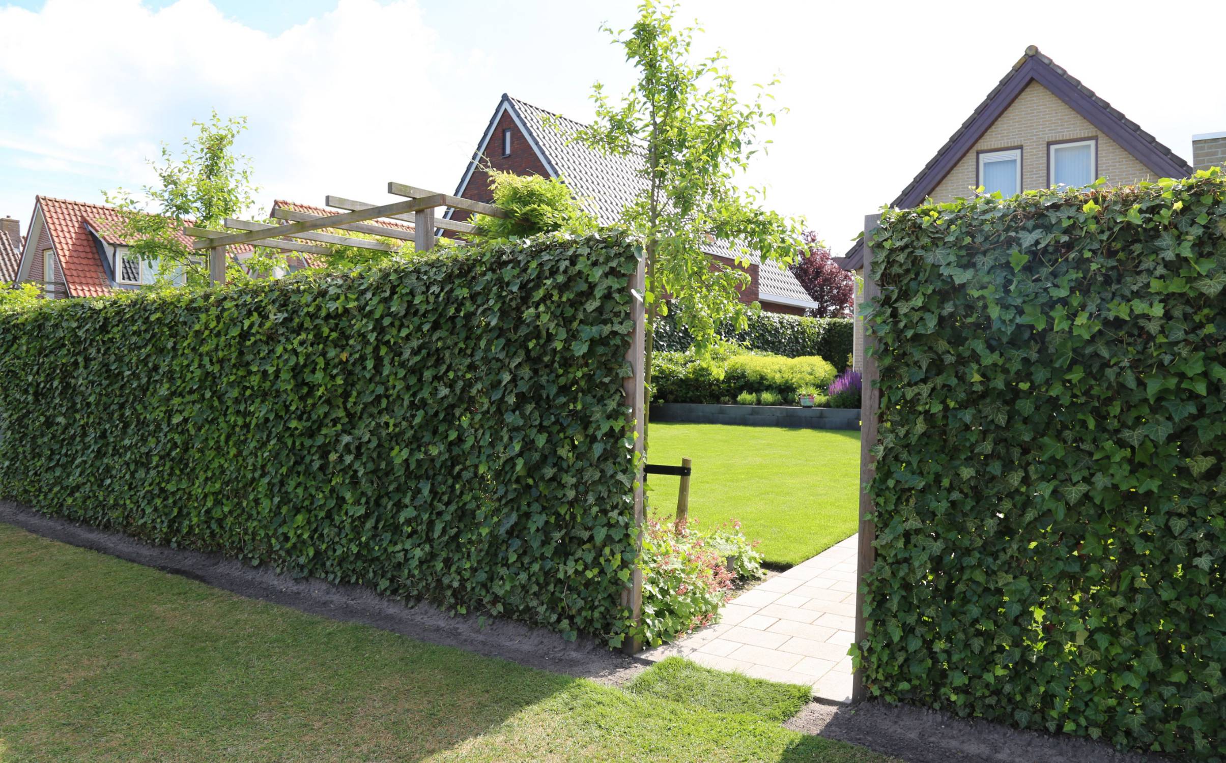 Green Screen Living Wall Hedge