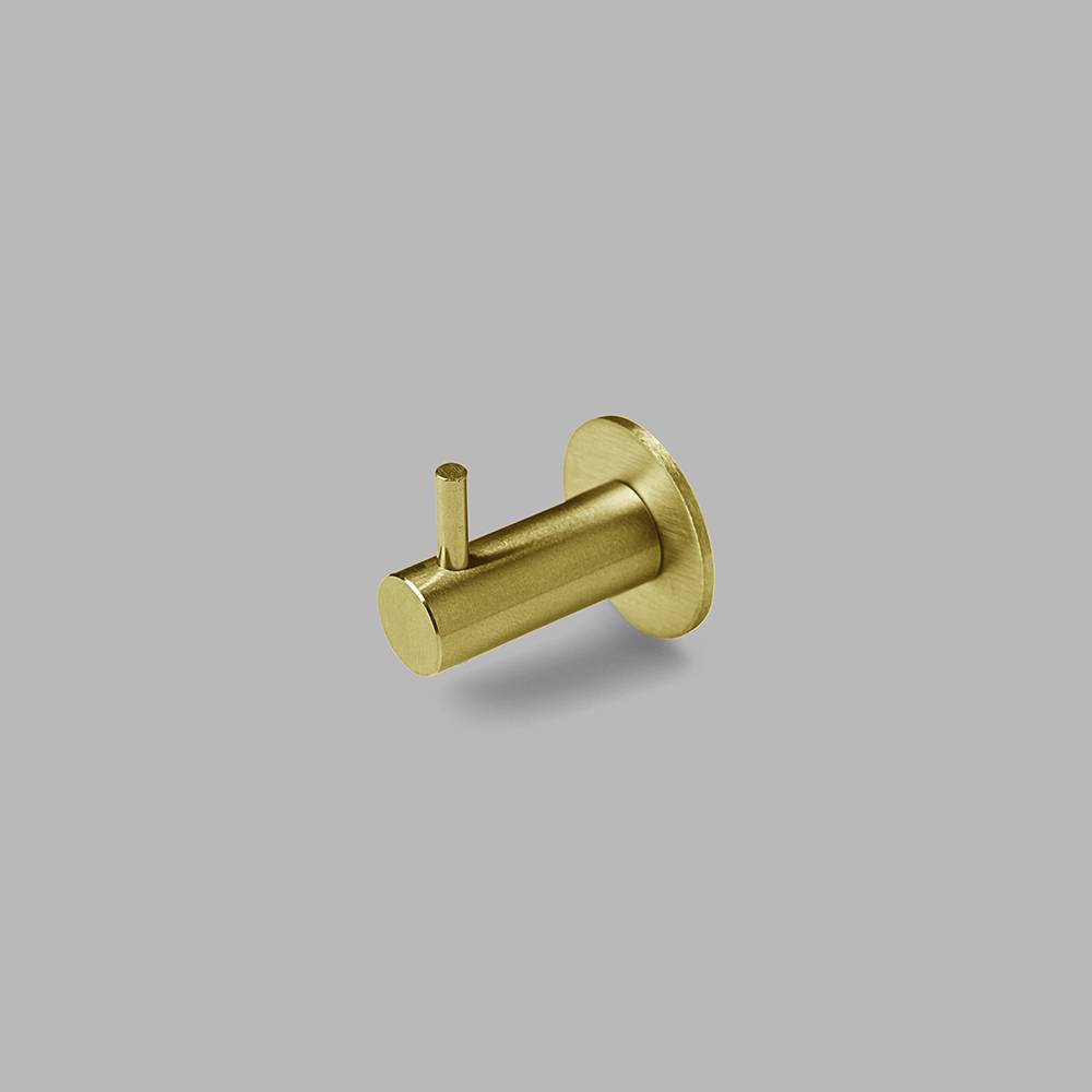 Coat Hook With Pin