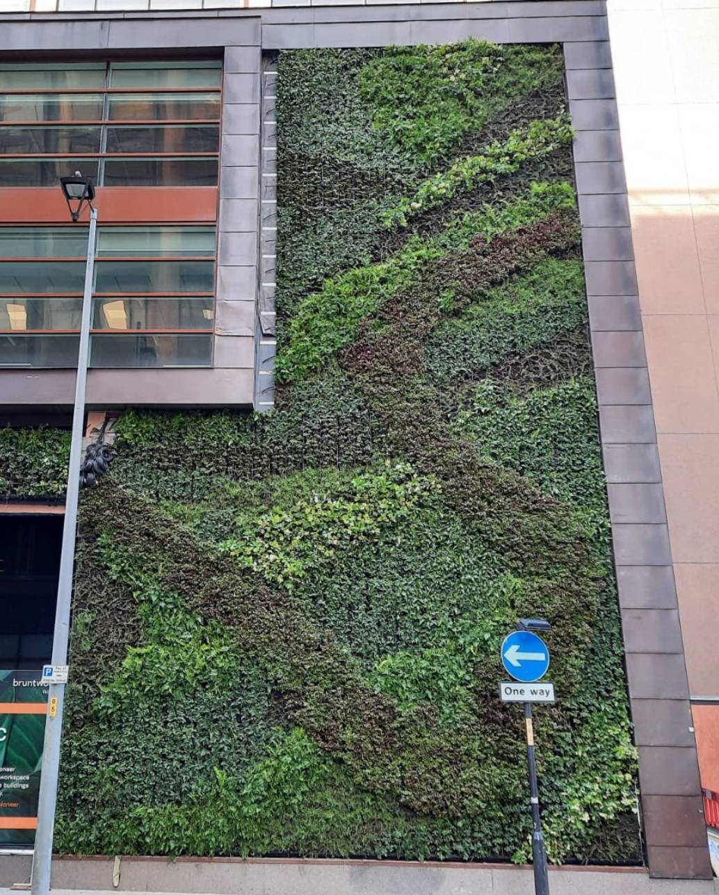 HYVERT - Cavity / Cement board Fixing Detail  - Living Wall System