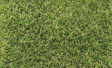SYNNatural 40 - Artificial Grass
