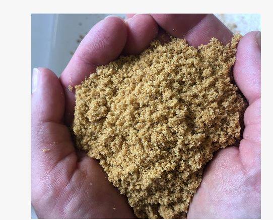 Washed Sand Subsoil