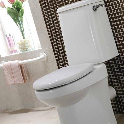 Avalon: Close Coupled Rimfree Seat & Cover - WC suites