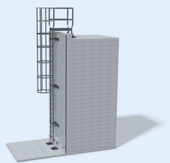 Ascent Access Ladders