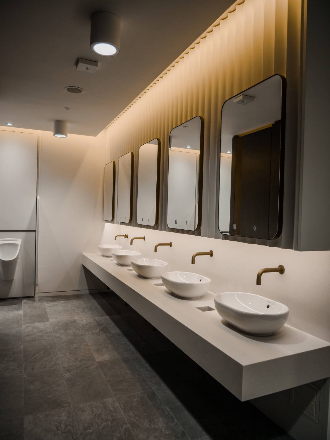 Xeista Caustora Vanity 