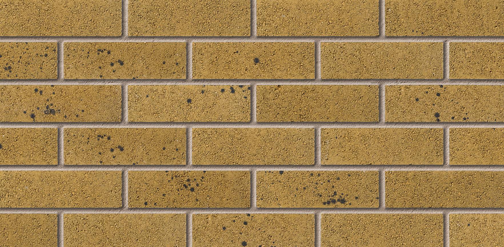 Langstone Gold Facing Brick