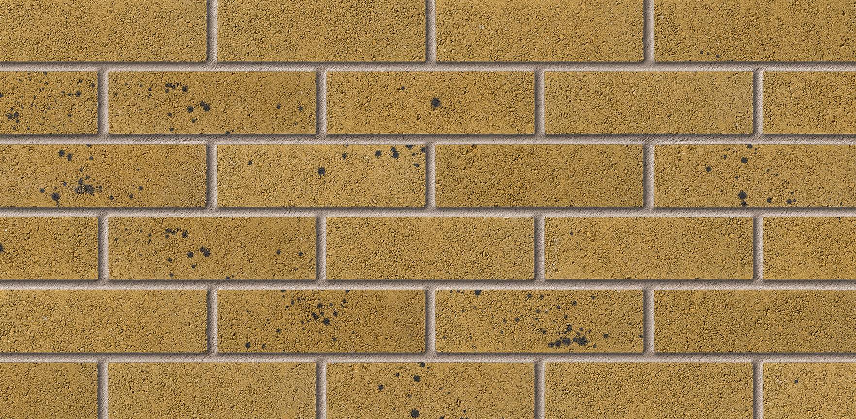 Langstone Gold Facing Brick