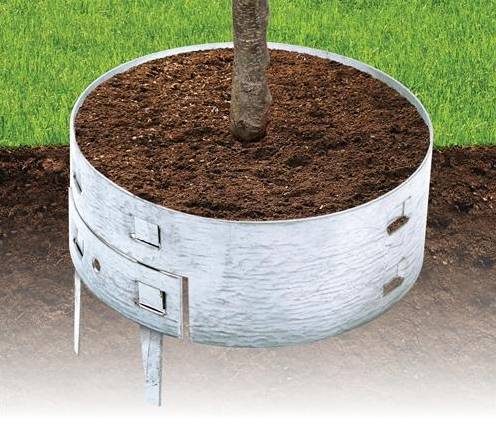 gtFortress Ring Guard