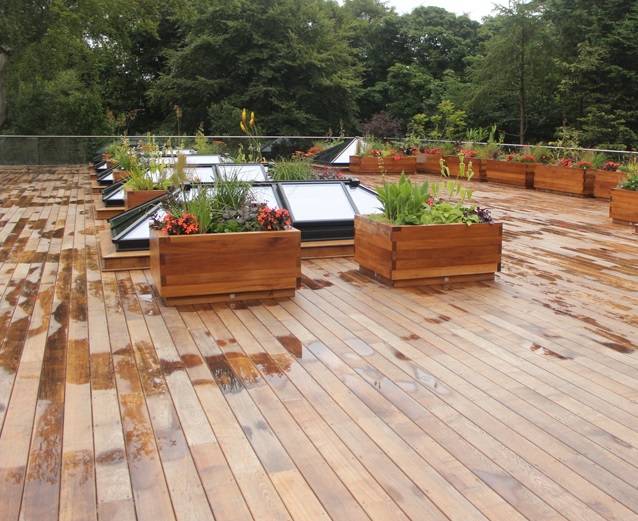 Brimstone Ash Decking