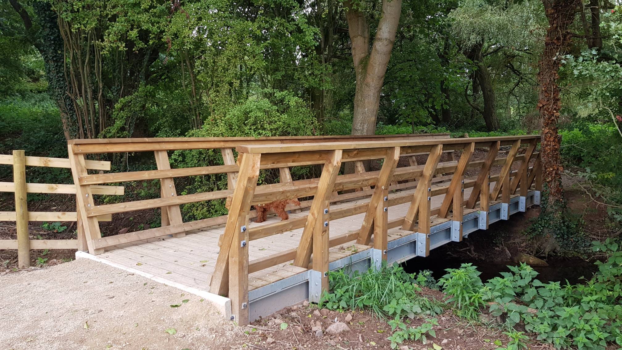 Bison Cycleway Bridge  - Bridge