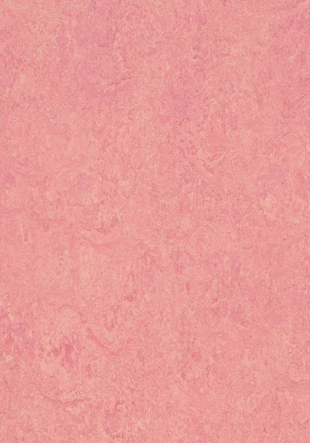 Marmoleum Marbled Real - Linoleum sheet flooring