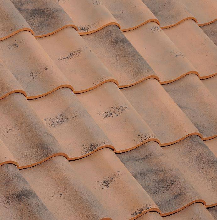 Edilians Pantile Panne S  - Clay roof tile