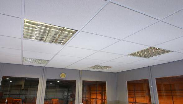 Lee-Grid Ceiling