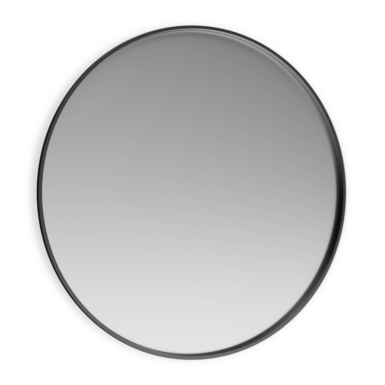 D25001 - Dolphin Circular Mirror