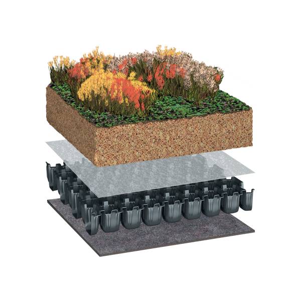 Bauder Sedum Plug Plants Extensive Green Roof System, Flat Roof