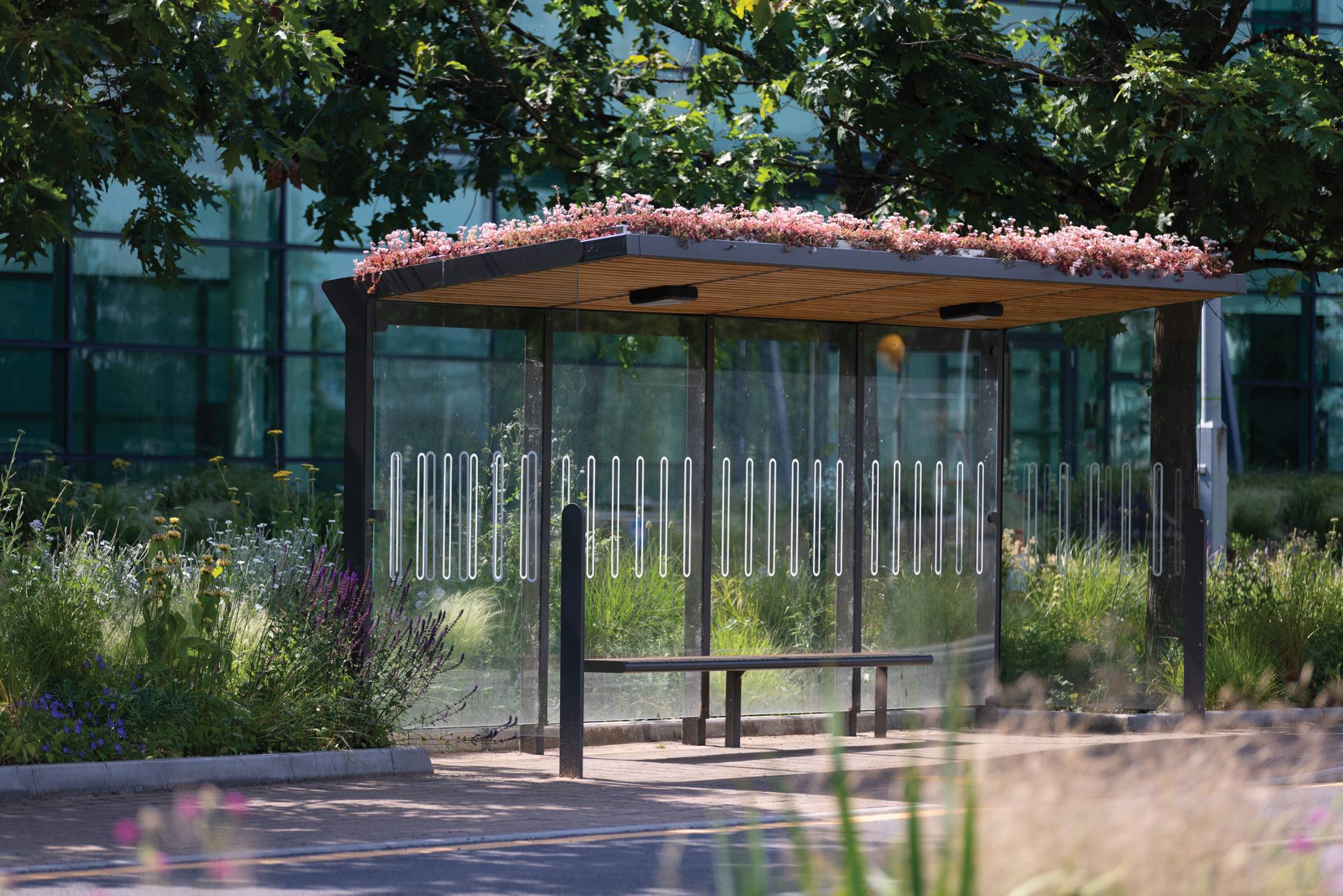 Aureo Bus Shelter - Covered Bus Shelter