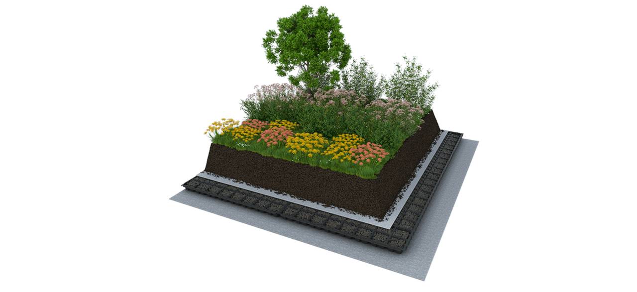 Intensive Green Roof