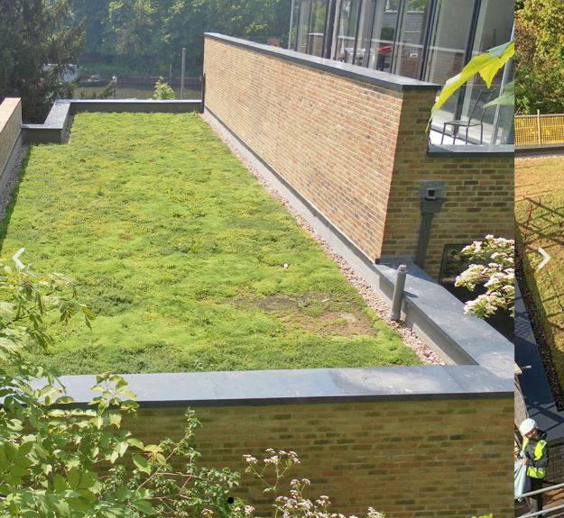 Polyroof Green Roof System