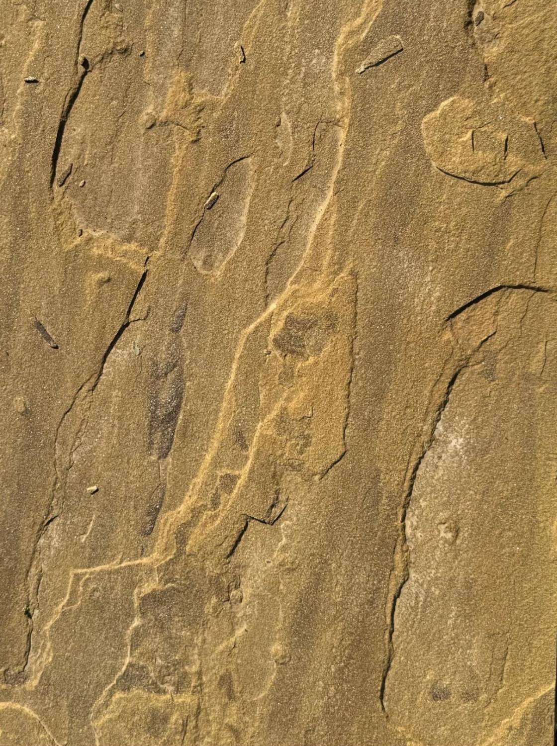 BBS Riven Buff Sandstone - Sandstone paving