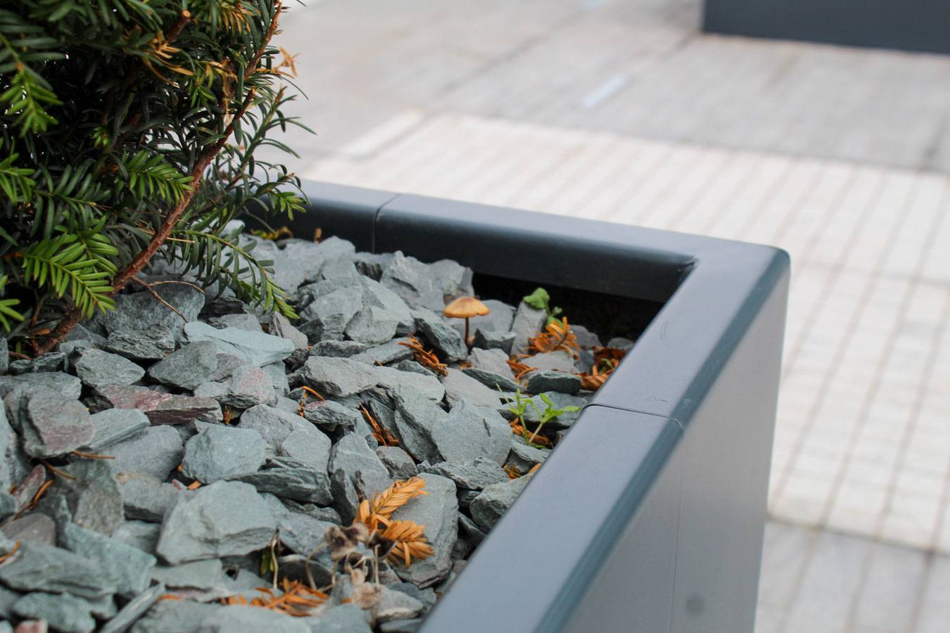 Inspira Linear Planter