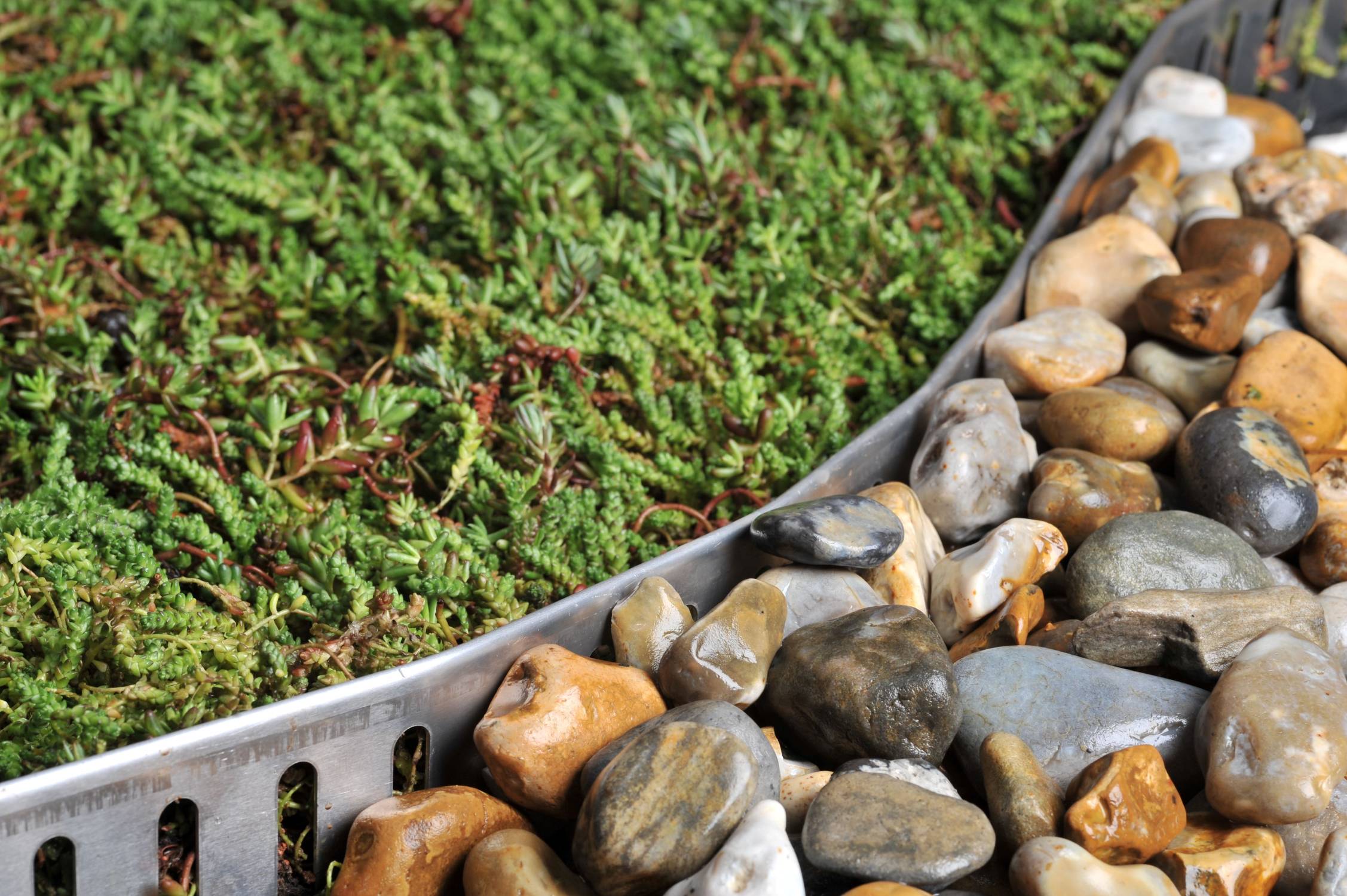 EdgeGuard™ living roof edging trim - Aluminium Edge Retaining Profiles