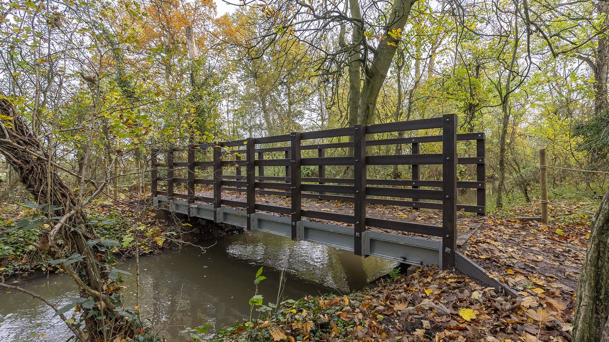 Bison Pedestrian Bridge  - Bridge