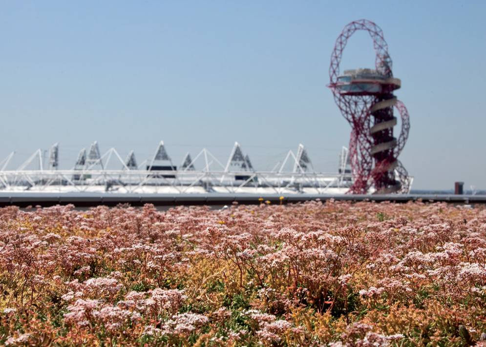 MedO Living Green Roof System - Extensive/Intensive/Brown Roof Build-up