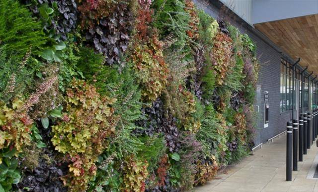 LivePanel® Living wall (Internal)